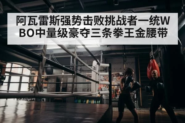 boxer training