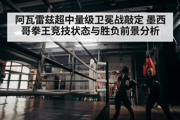 boxer training gym